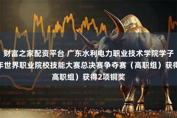 财富之家配资平台 广东水利电力职业技术学院学子在2025年世界职业院校技能大赛总决赛争夺赛（高职组）获得2项铜奖