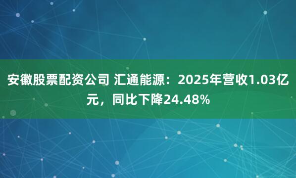 安徽股票配资公司 汇通能源:2025年营收1.03亿元,同比下降24.48%