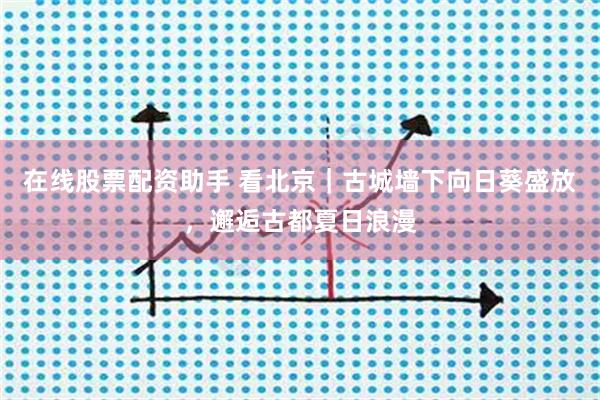 在线股票配资助手 看北京｜古城墙下向日葵盛放，邂逅古都夏日浪漫