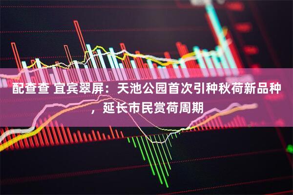 配查查 宜宾翠屏:天池公园首次引种秋荷新品种,延长市民赏荷周期